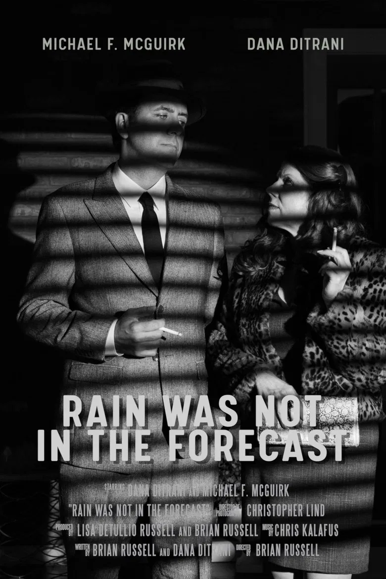 Rain was Not in the Forecast poster background