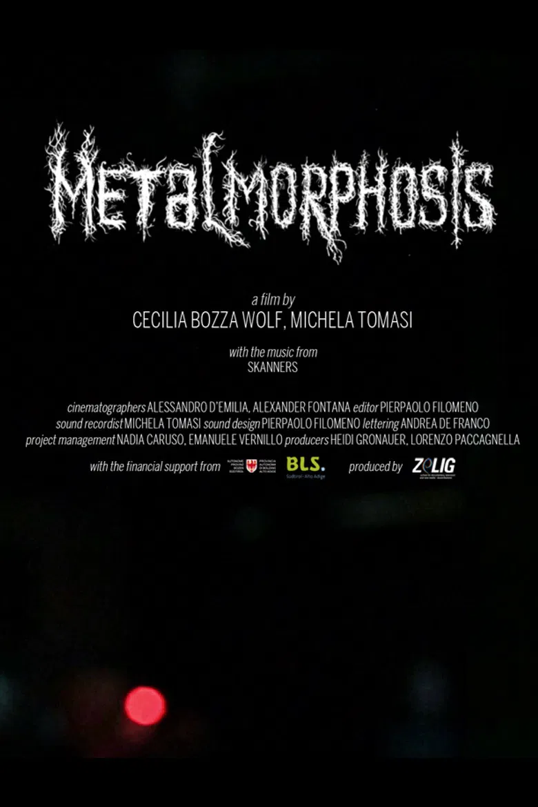 Metalmorphosis poster background