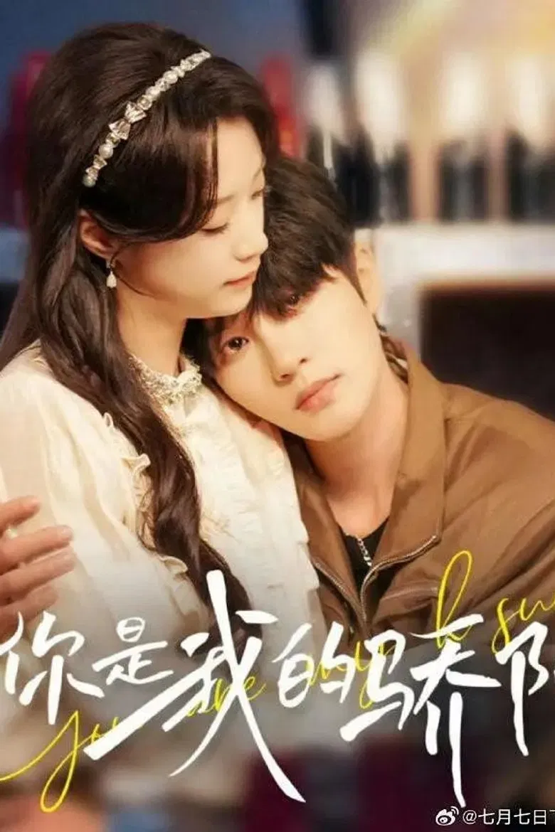 你是我的骄阳 poster background