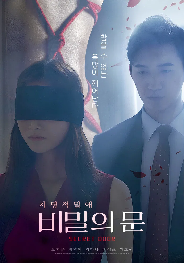 Secret Door poster background