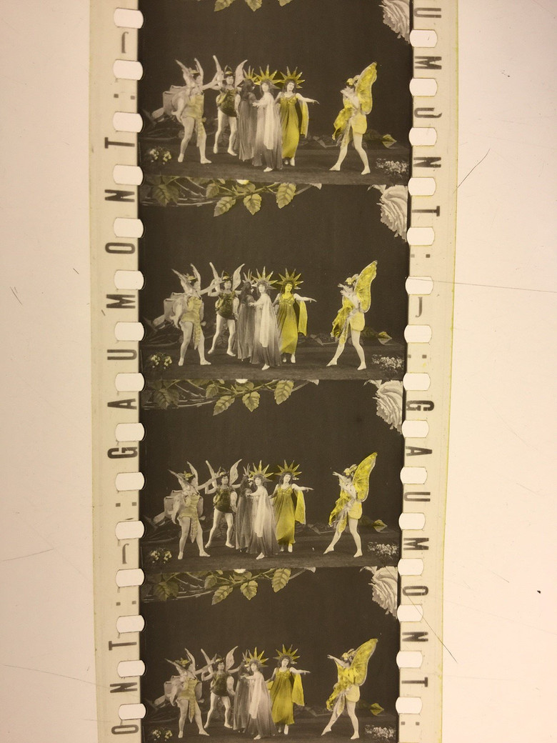 The Roses poster background