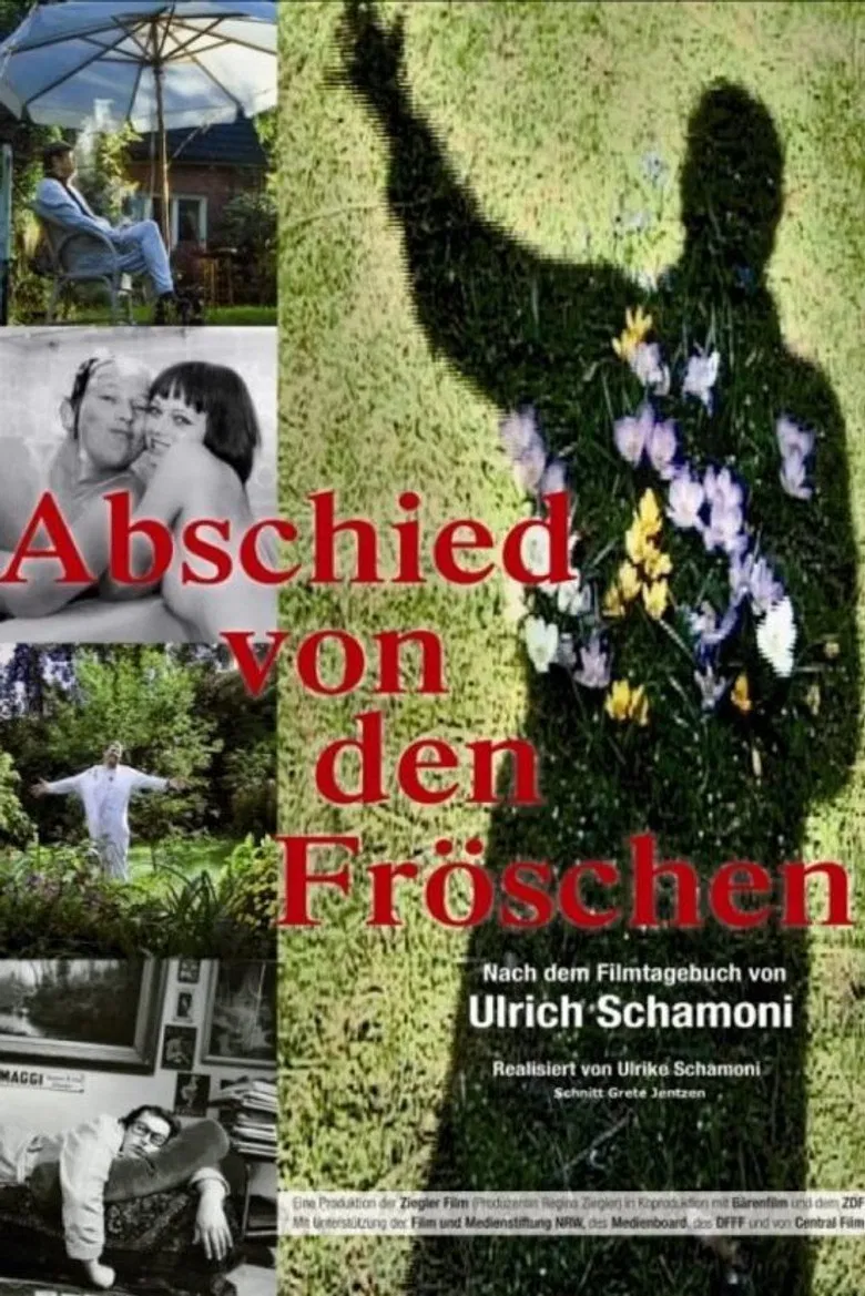 Abschied von den Fröschen poster background