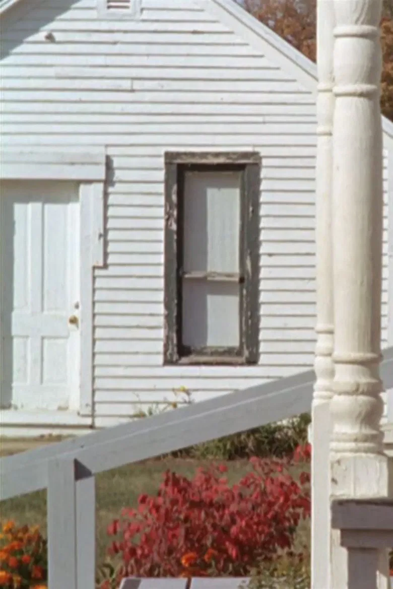 The Mennonite Federation poster background