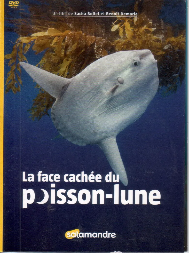 La Face Cachée Du Poisson-Lune poster background