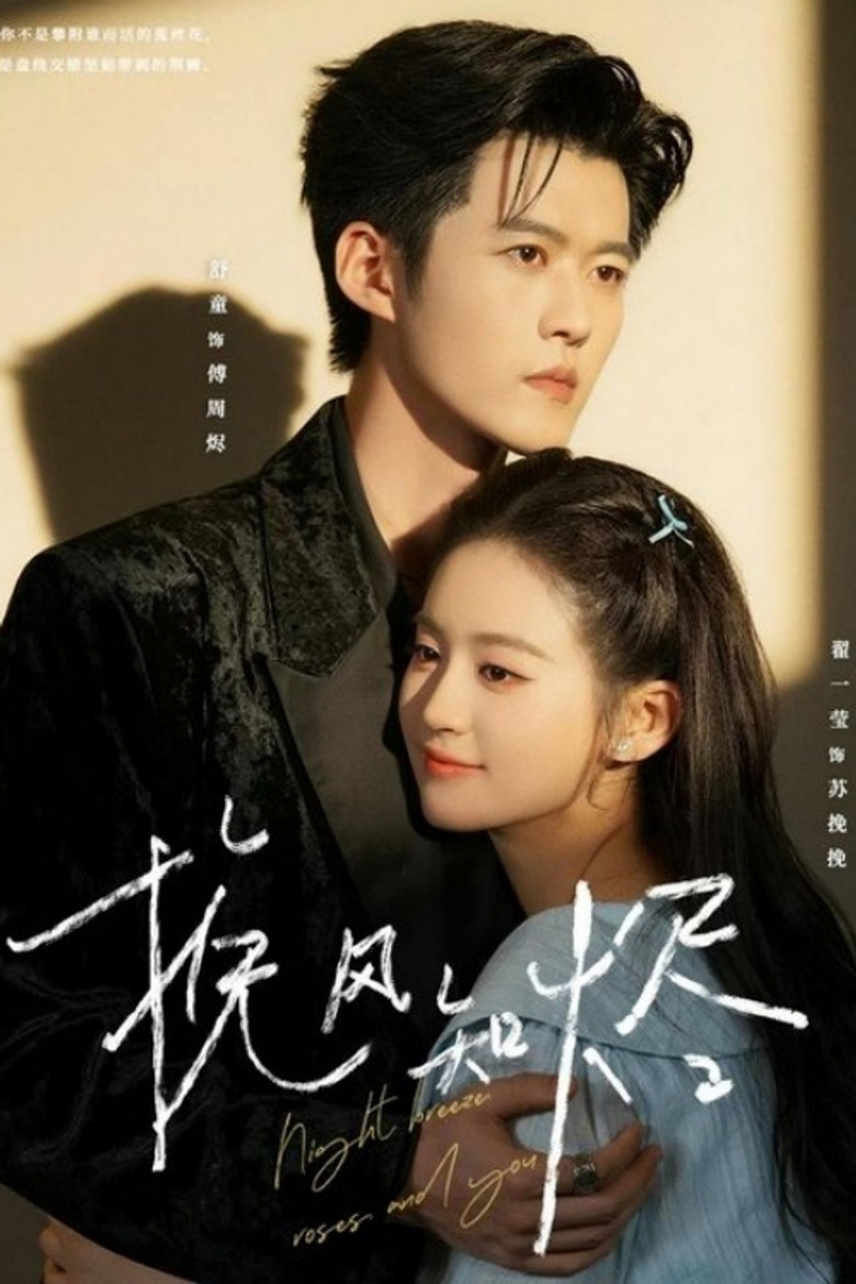 挽风知烬 poster background