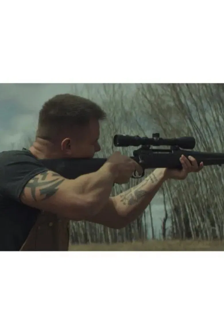 Bison poster background