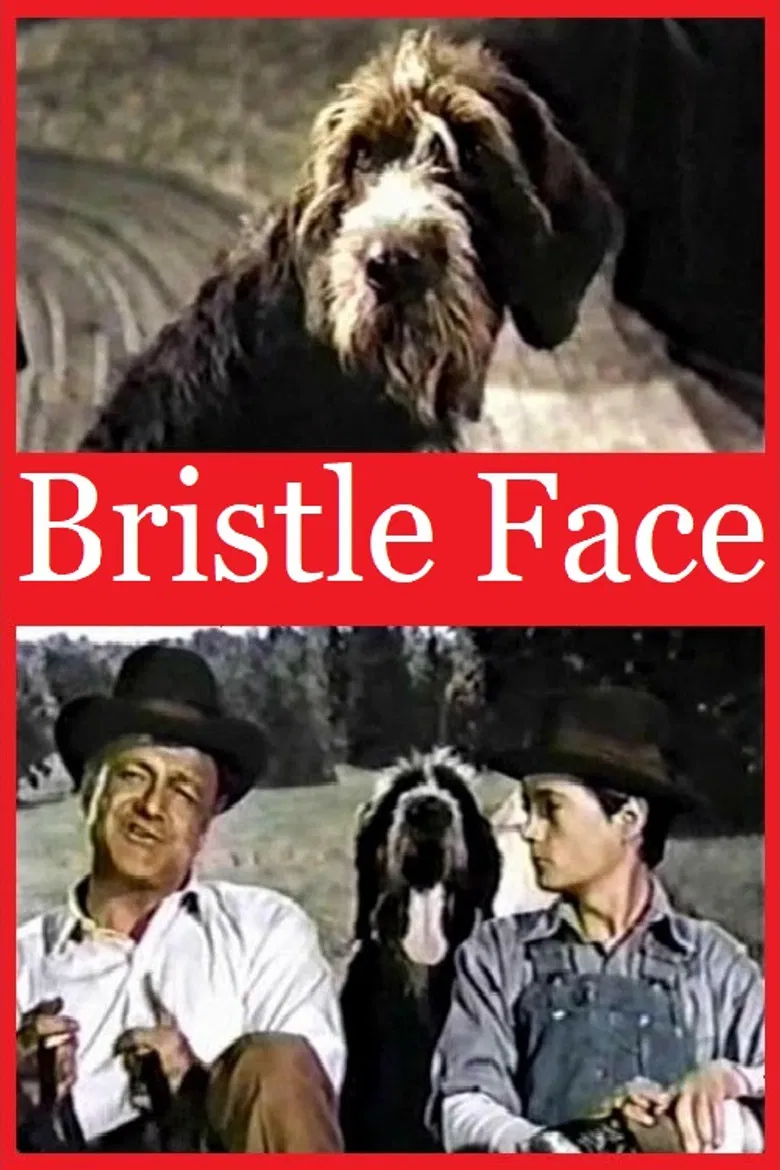 Bristle Face poster background