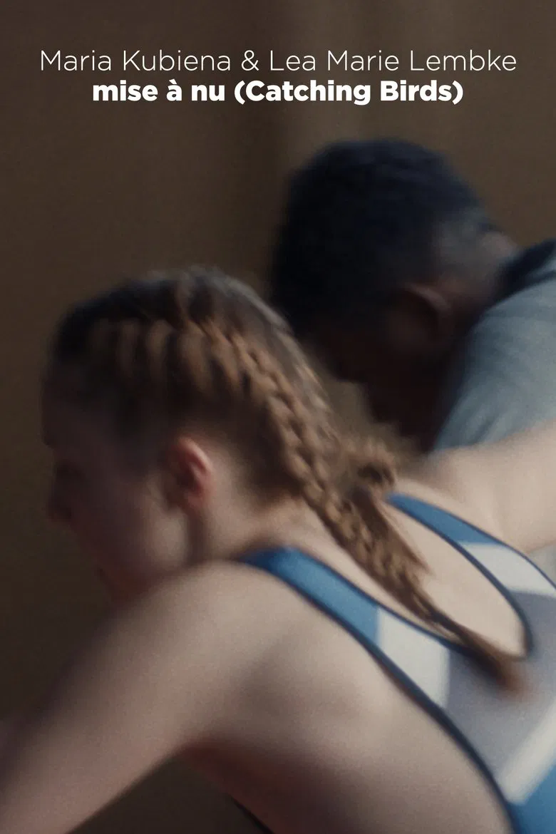 Catching Birds poster background