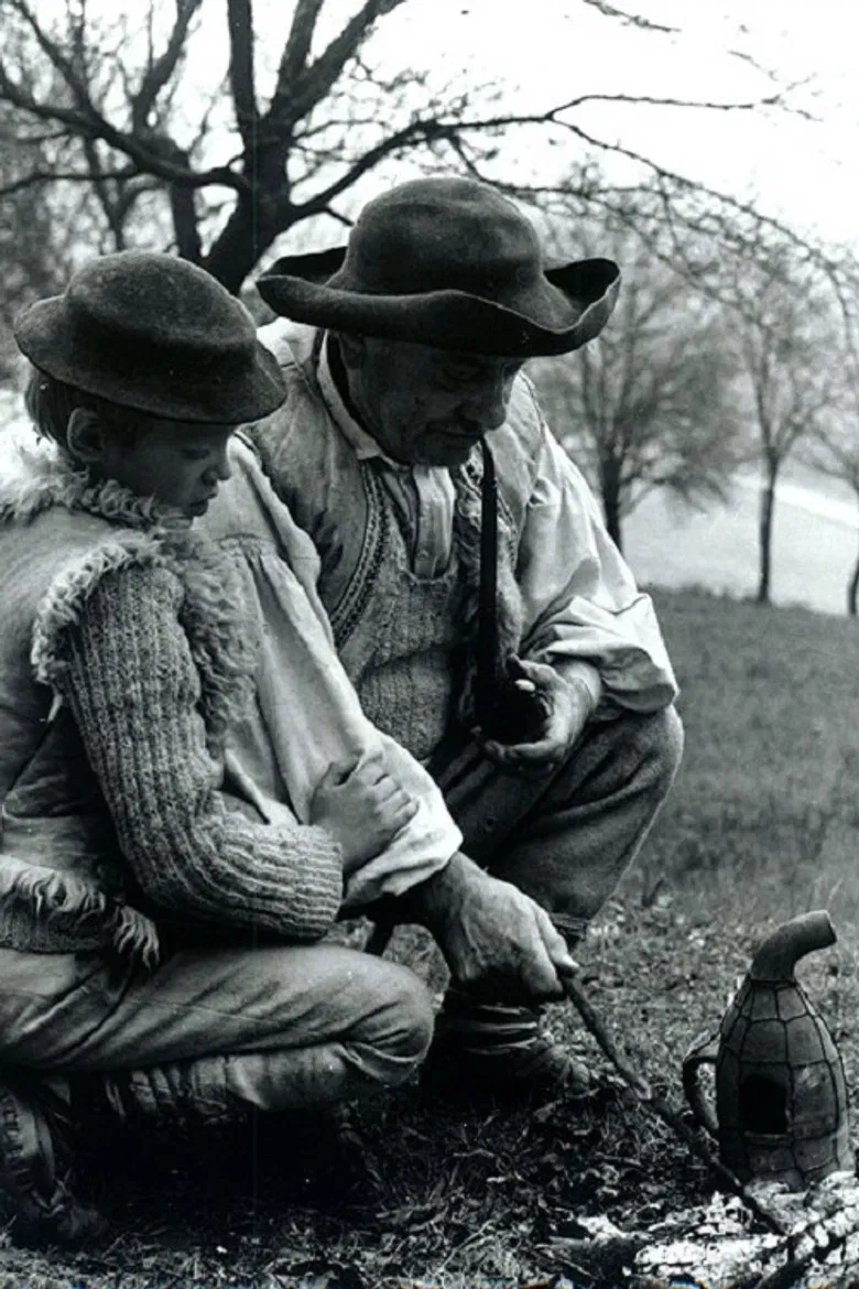 Starý včelár poster background