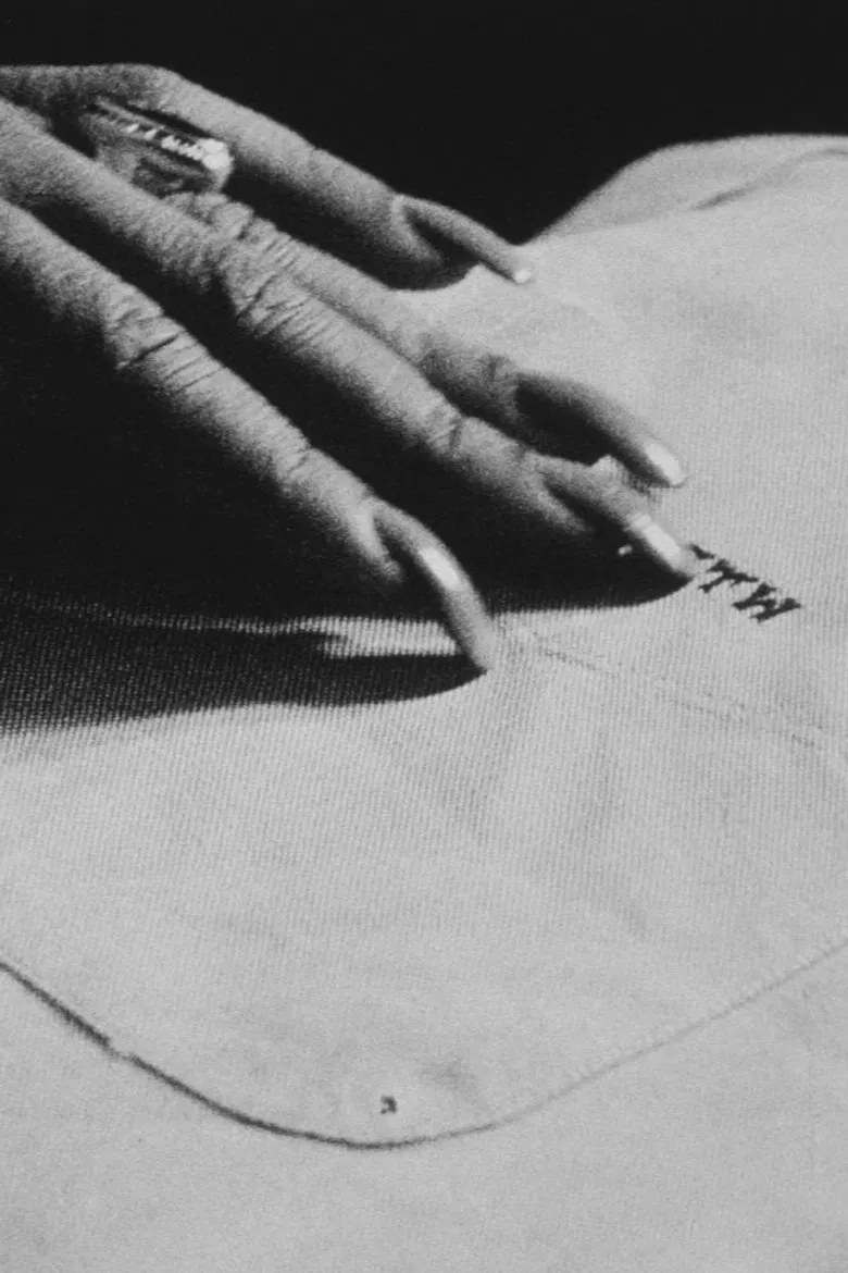 The Guest poster background