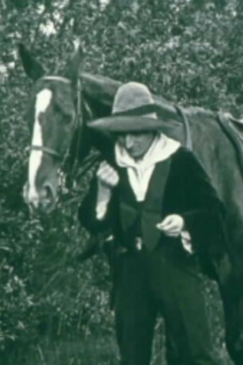 A Telegram from Mexico poster background