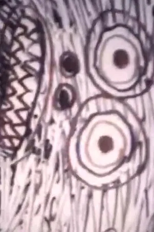 ABCD poster background