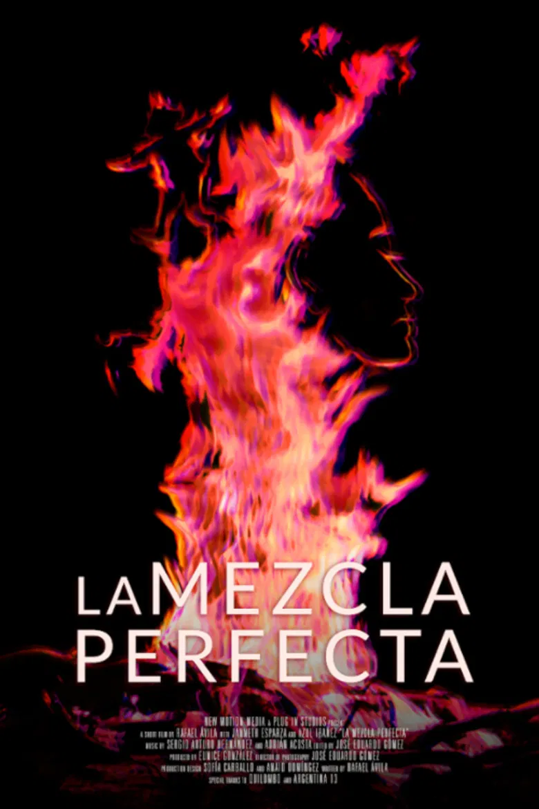 La mezcla perfecta poster background