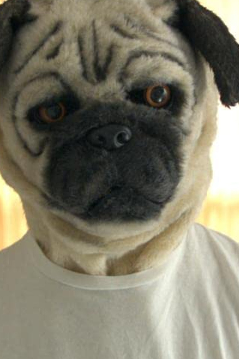 A Pug & Wolf Christmas poster background