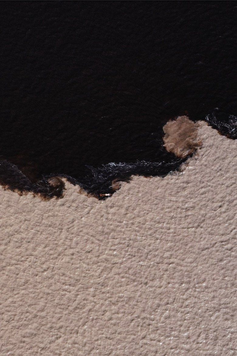 Æqualia poster background