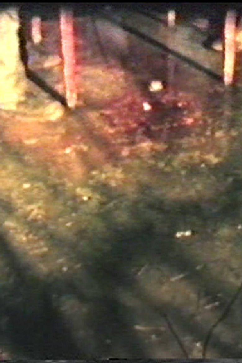 Slaughter Ahoy poster background