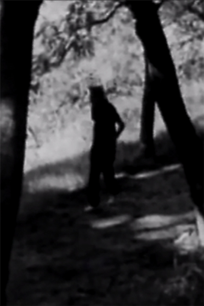 Homenaje a Juan L. Ortiz poster background