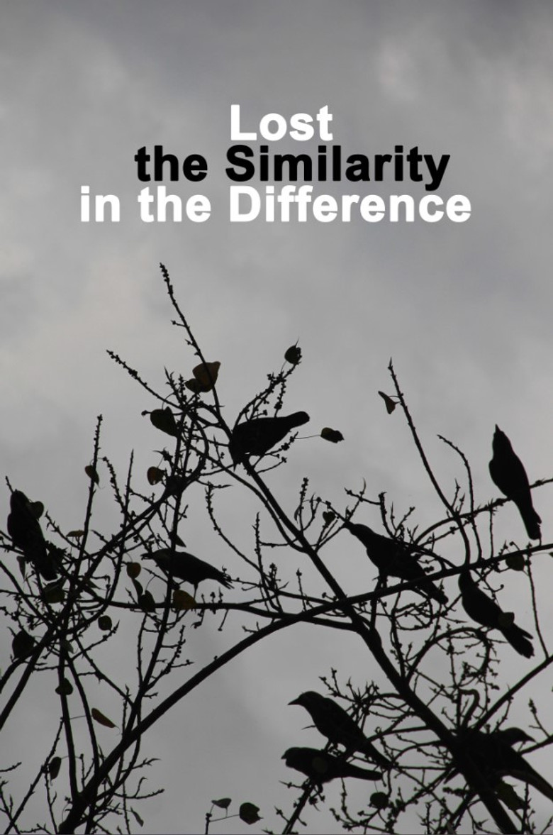 Lost the Similarity in the Difference poster background