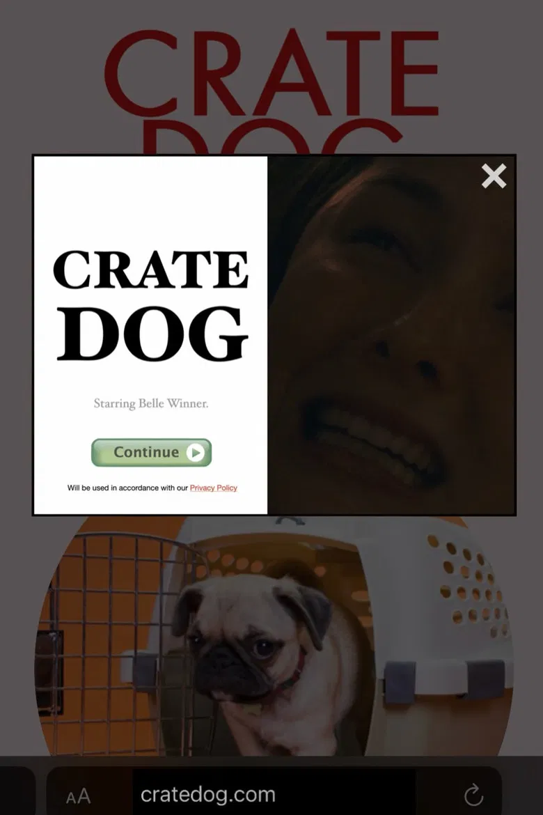 Crate Dog poster background