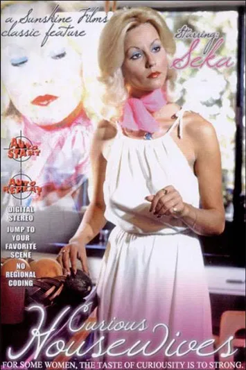 Curious Housewives poster background