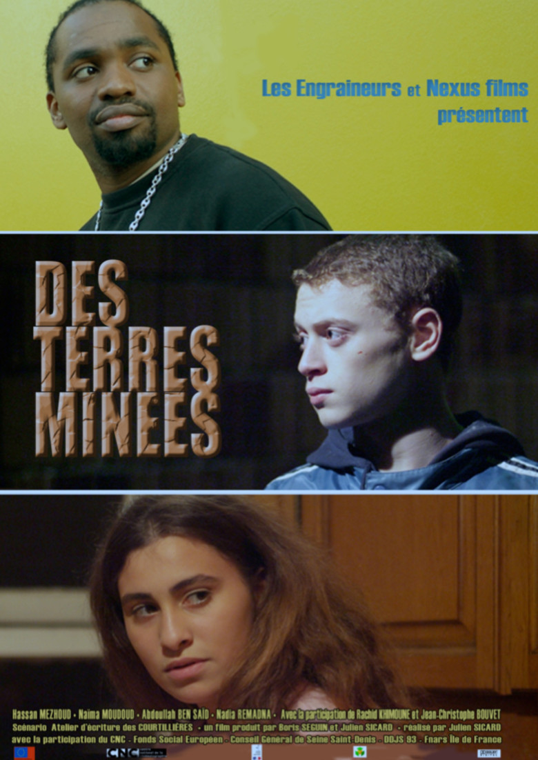 Des terres minées poster background