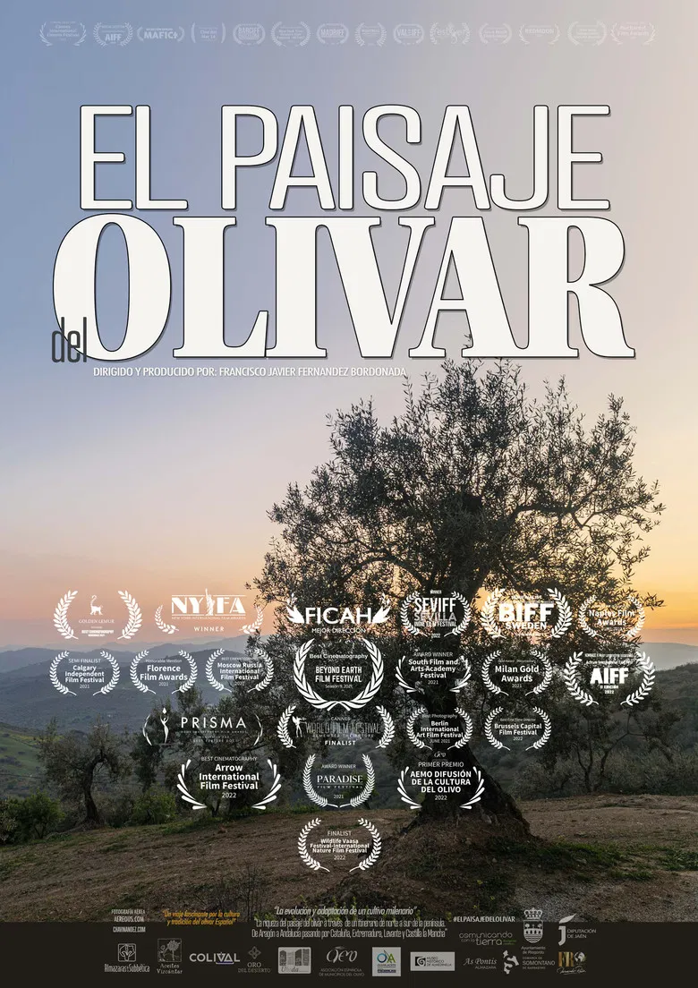 El paisaje del olivar poster background