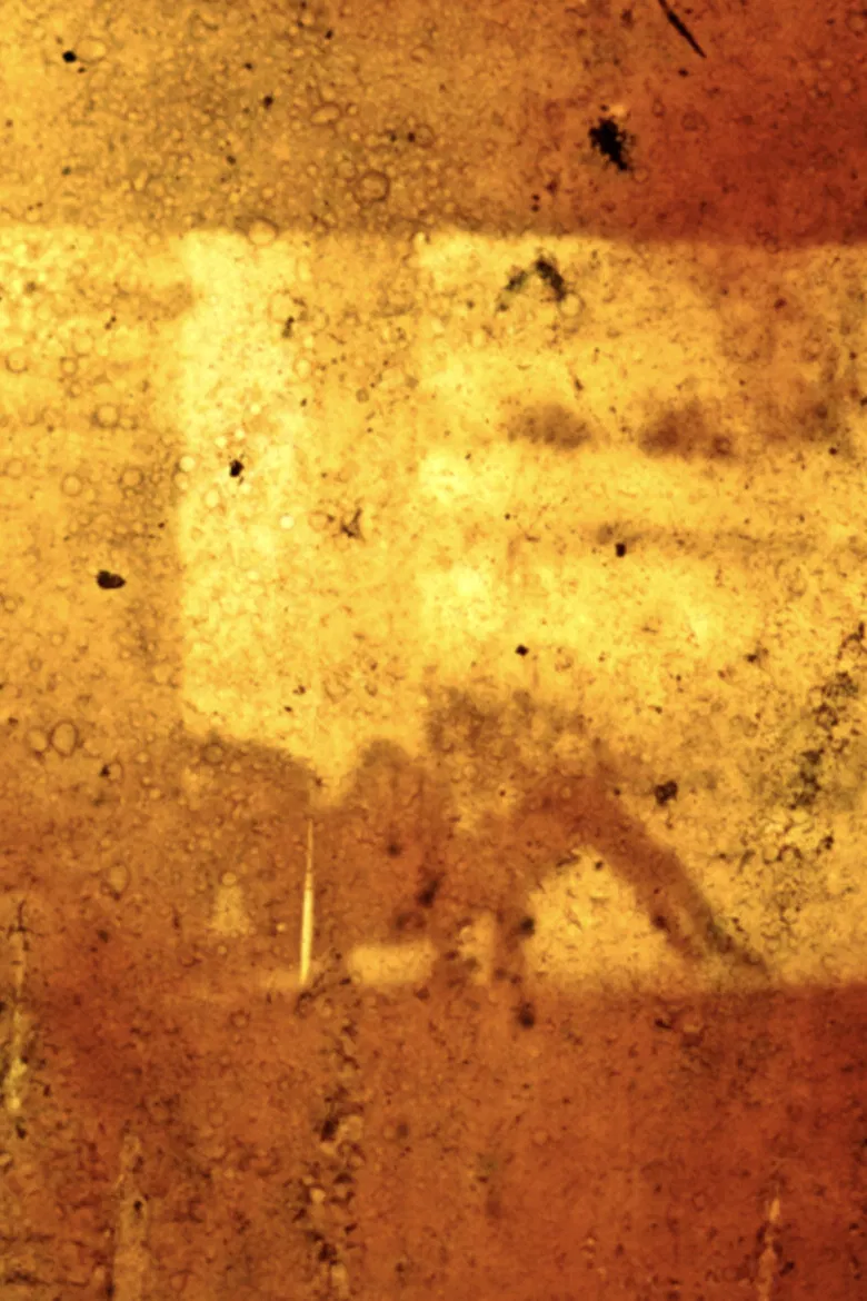 Hannover Kommunales Kino poster background