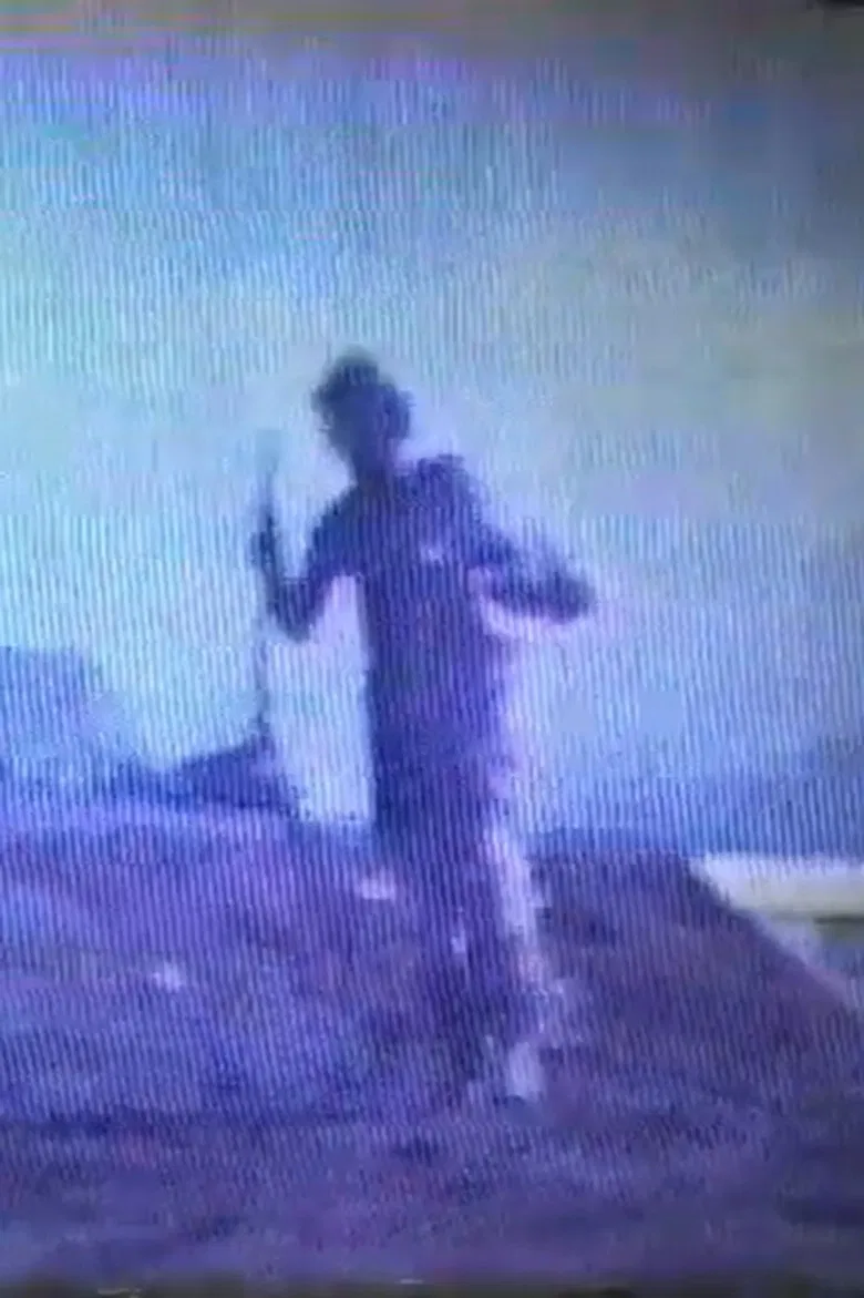 O Estranho Mensageiro poster background