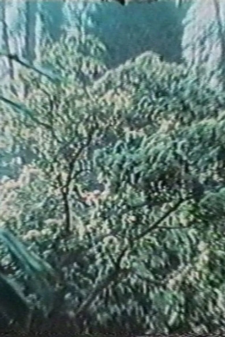 The Wind Blows Where It Wishes poster background