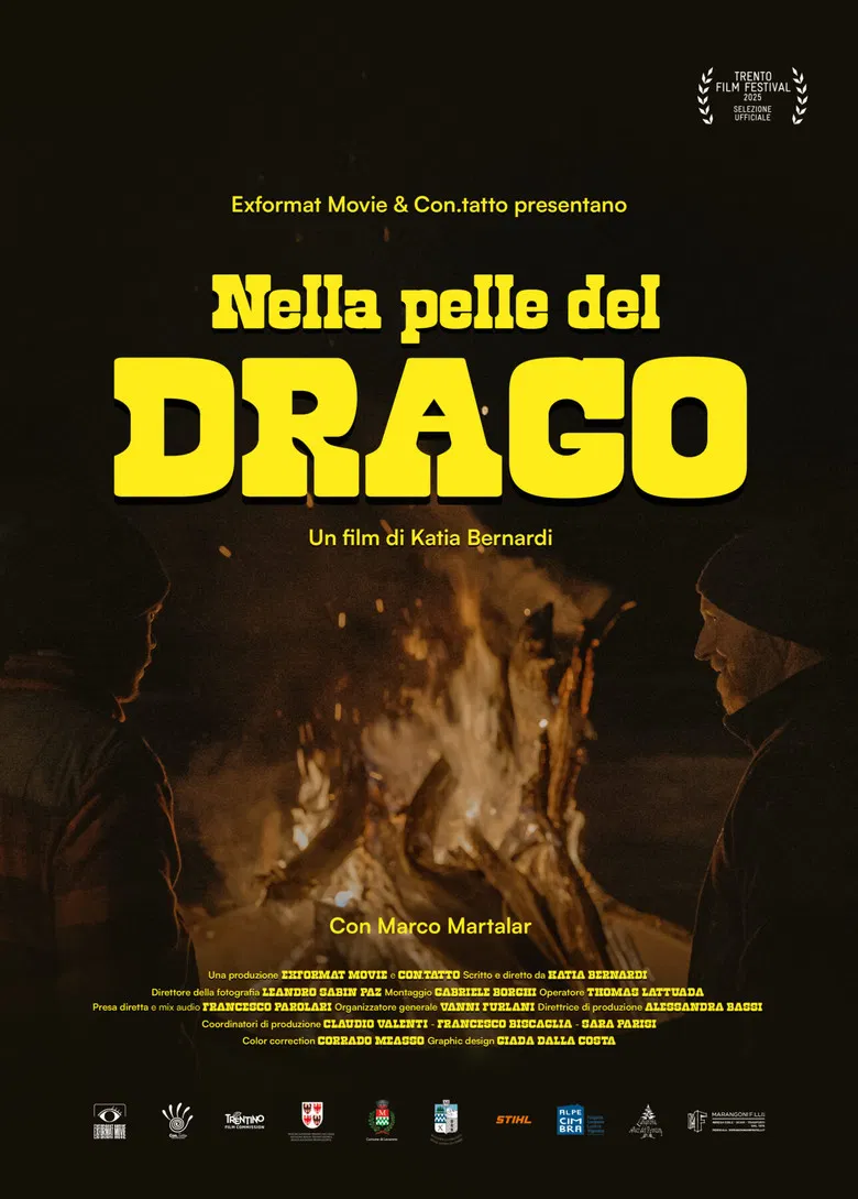 Nella Pelle del Drago poster background