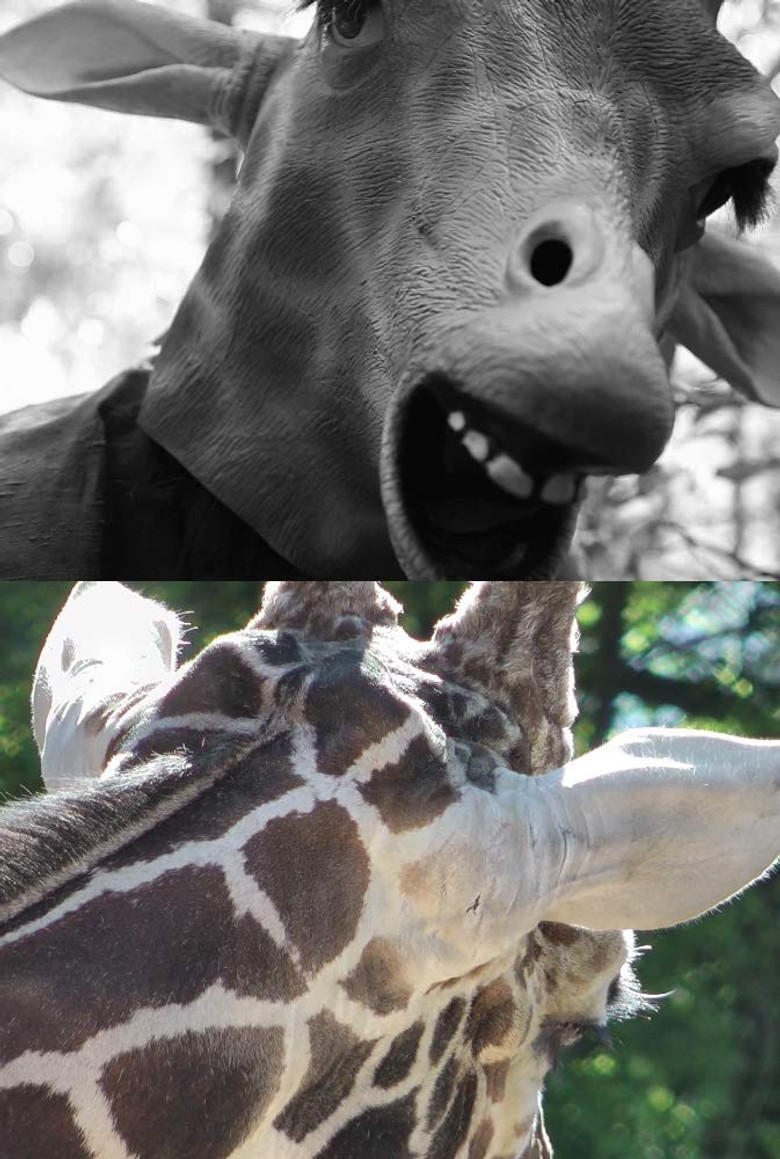 Tales of a Future Past poster background