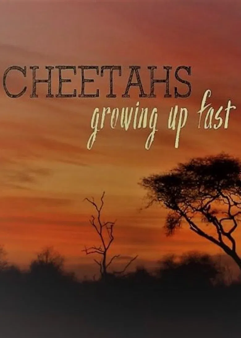 Cheetahs: Growing Up Fast poster background