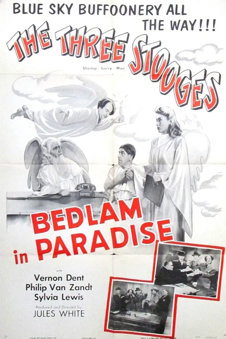 Bedlam in Paradise poster background