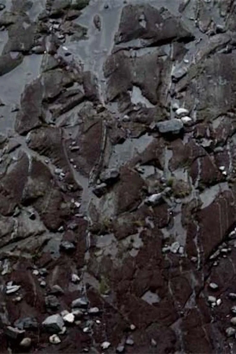 Blue Suns poster background