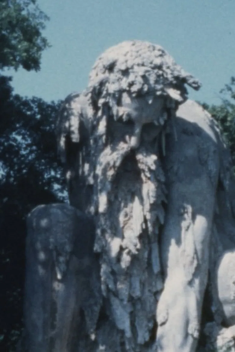 Platorino poster background