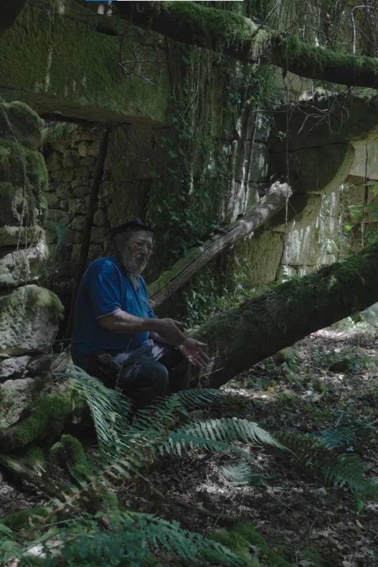 O Seixoval. A montaña máxica poster background