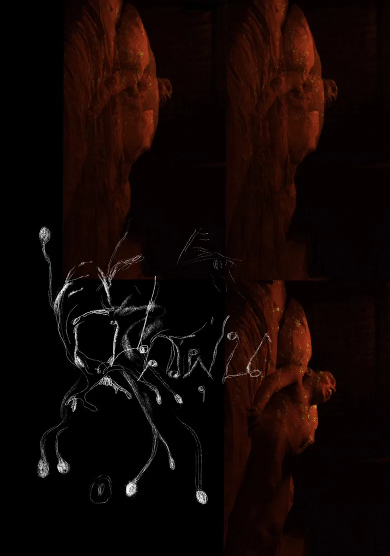 The Sound of Devouring Dust poster background