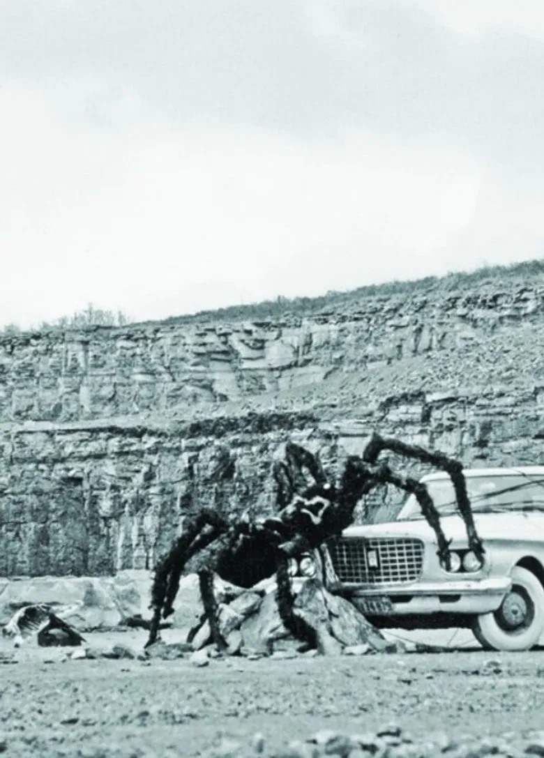 As Long as the Stratified Animal Lights Up poster background