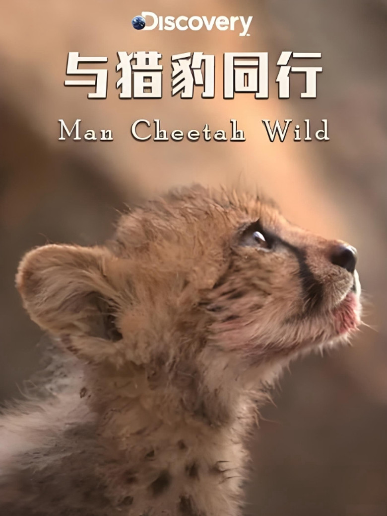 Man Cheetah Wild poster background
