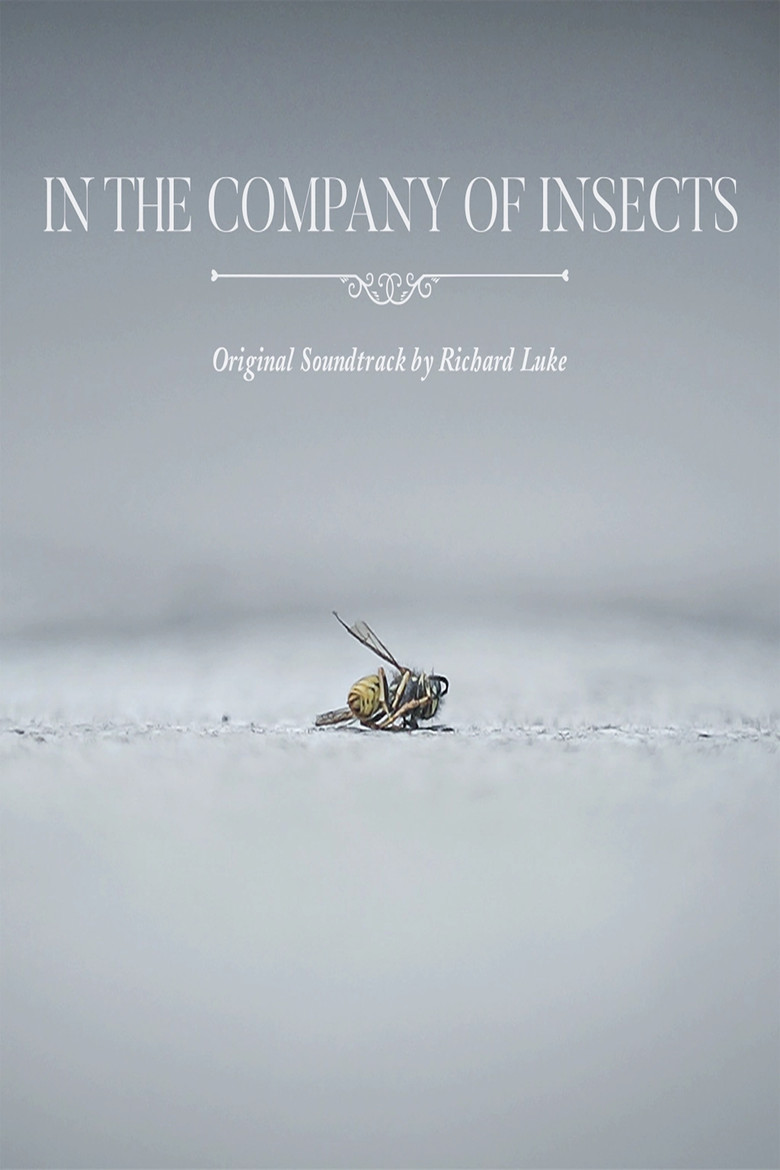 In the Company of Insects poster background