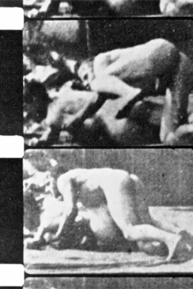 Filming Muybridge poster background