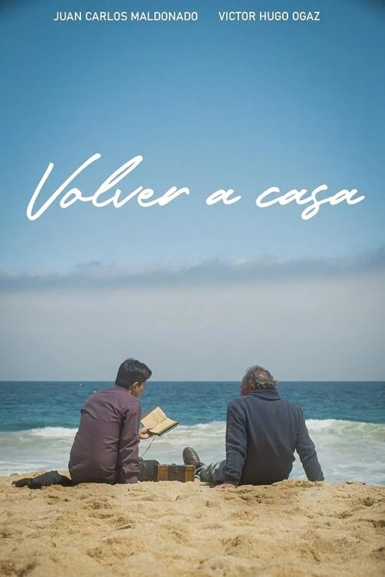 Volver a casa poster background