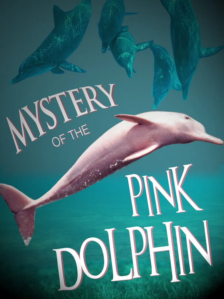The Mystery of the Pink Dolphin poster background