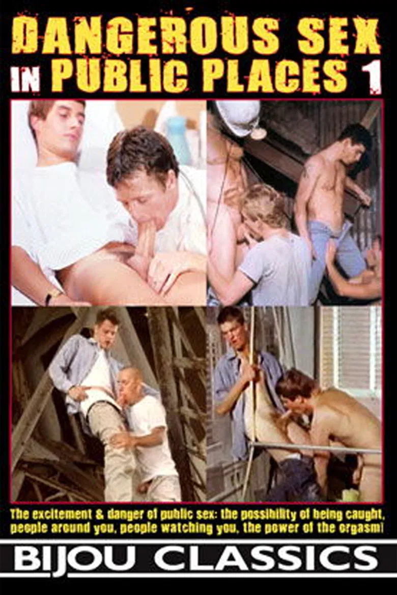 Dangerous Sex in Public Places 1 poster background