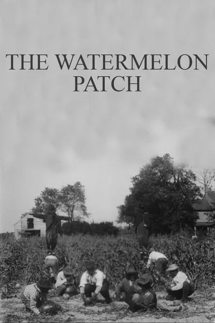 The Watermelon Patch poster background