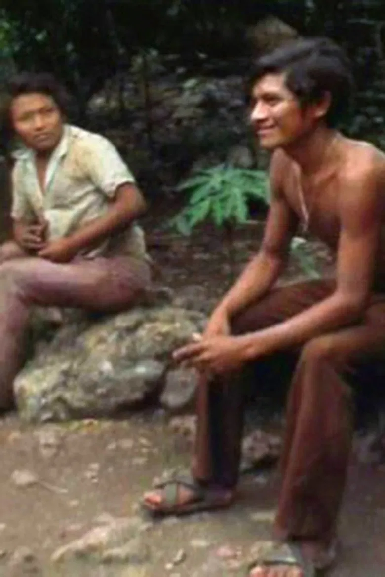 Yucatec Maya Deaf Sign poster background