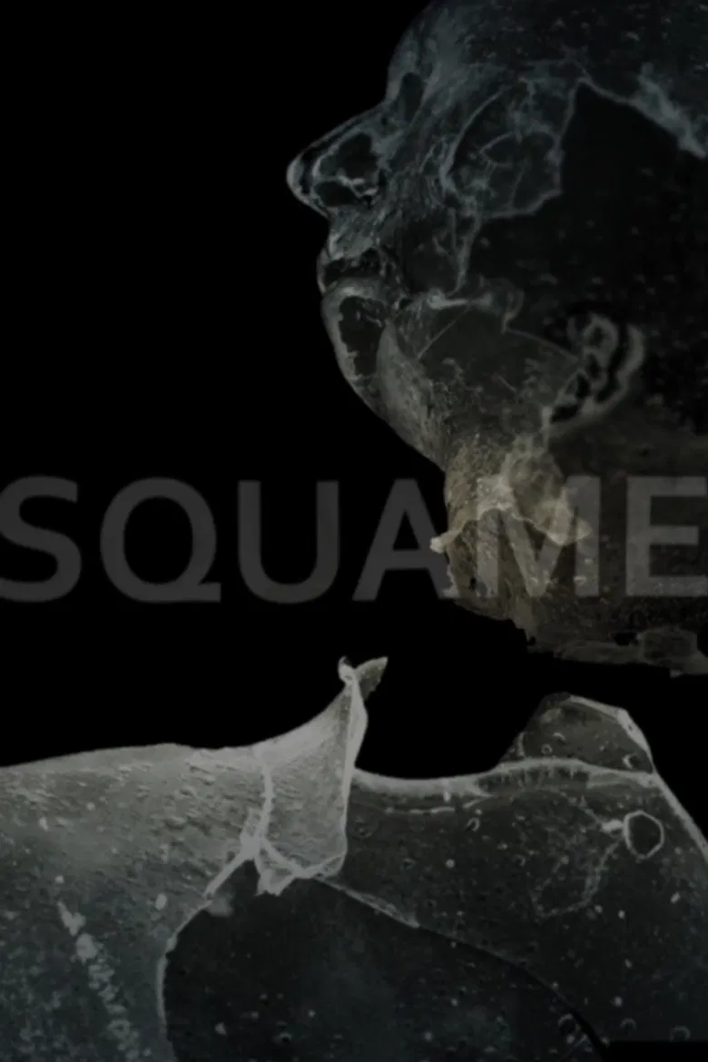 Squame poster background