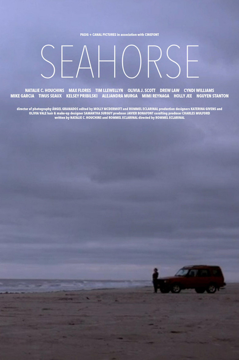 Seahorse poster background