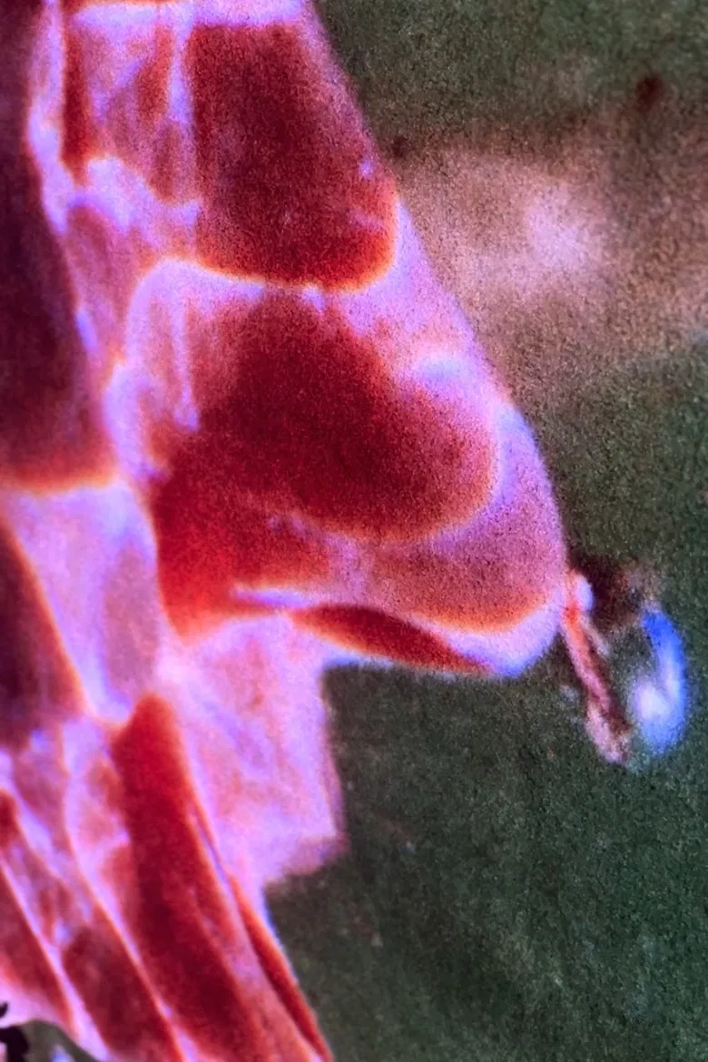 Welling Color Island West poster background