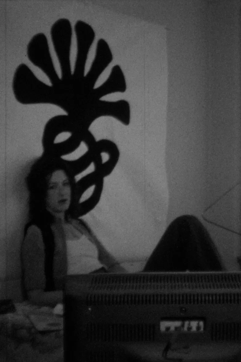 The Secret Life of Patty Hearst poster background
